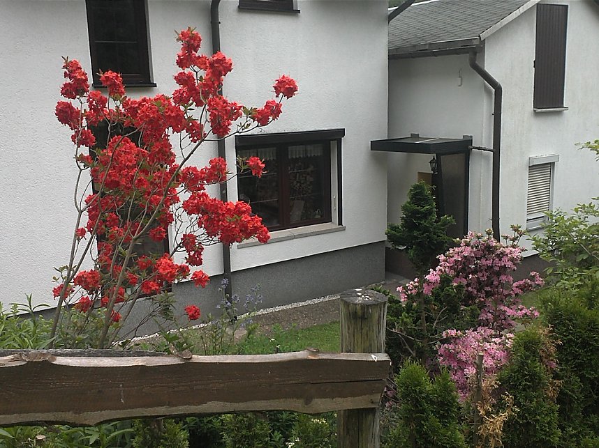 Rhododendronfest in S&uuml;lzhayn