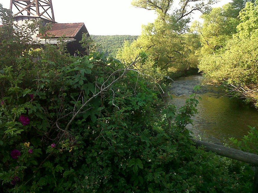 Unterwegs an der Saale