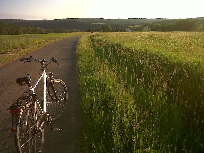 Unterwegs an der Saale