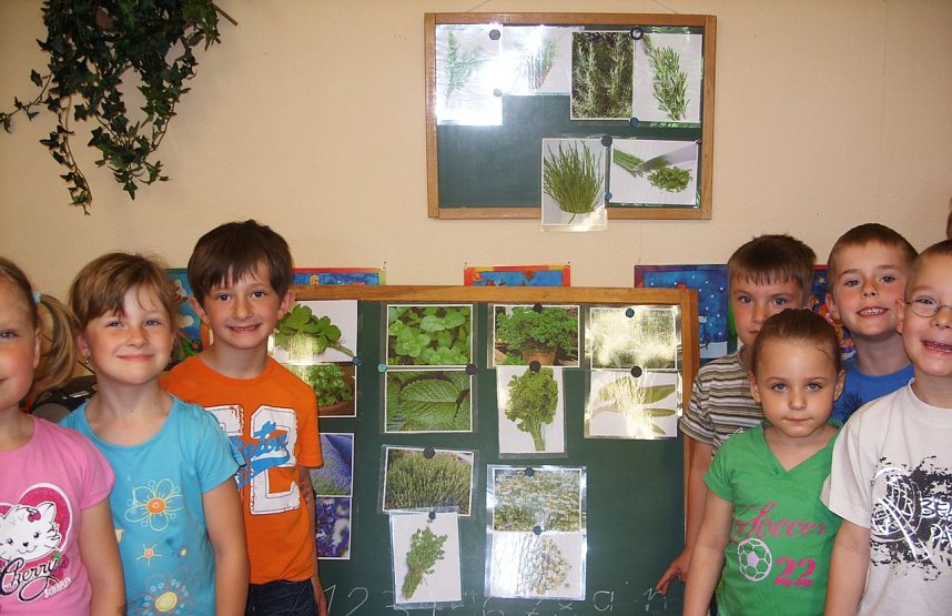 Schmackhaftes und gesundes Fr&uuml;hst&uuml;ck