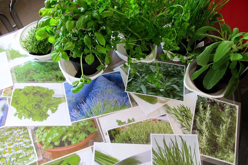 Schmackhaftes und gesundes Fr&uuml;hst&uuml;ck