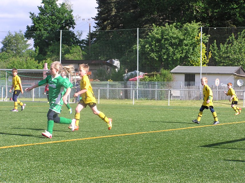 Schiri entscheidet das Spiel?