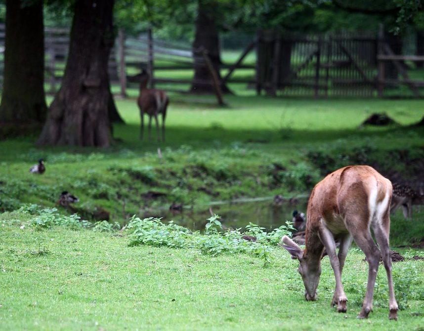 Abends im Stadtpark