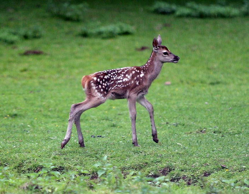 Abends im Stadtpark