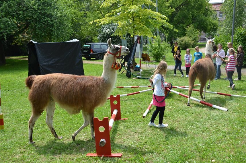 Kinderuni an der Nordh&auml;user Fachhochschule