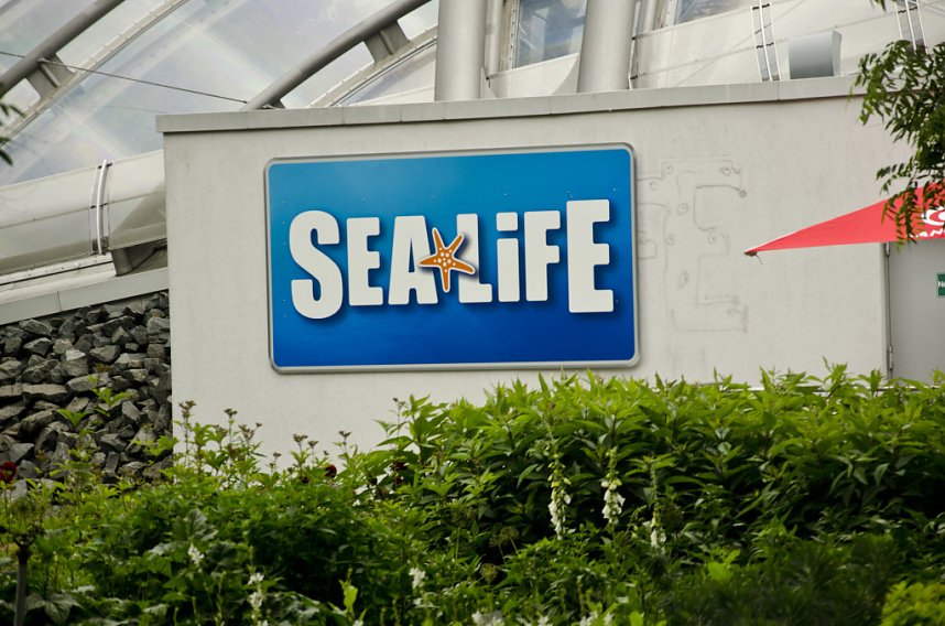 Sea Live in Hannover