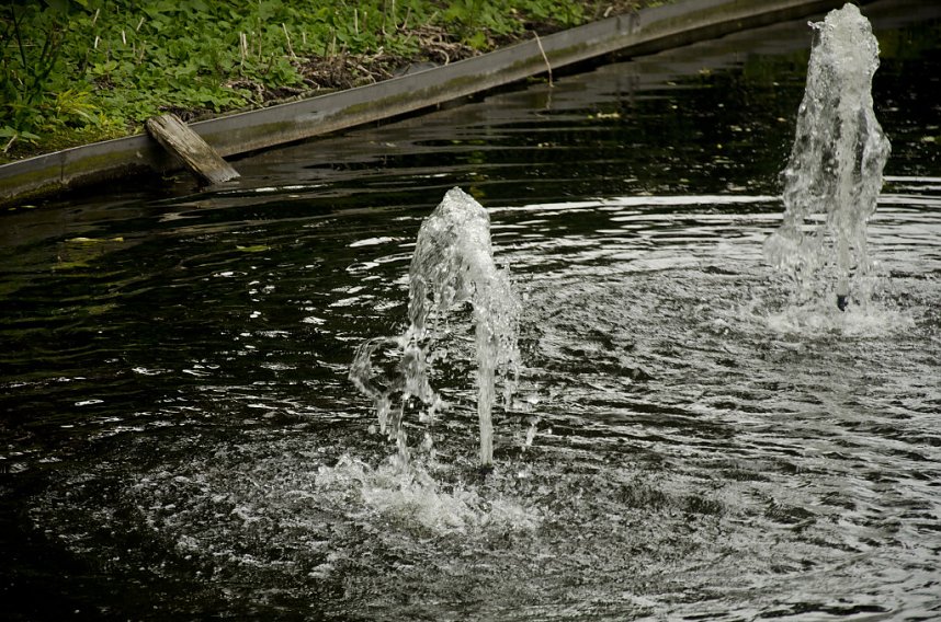 Sea Live in Hannover