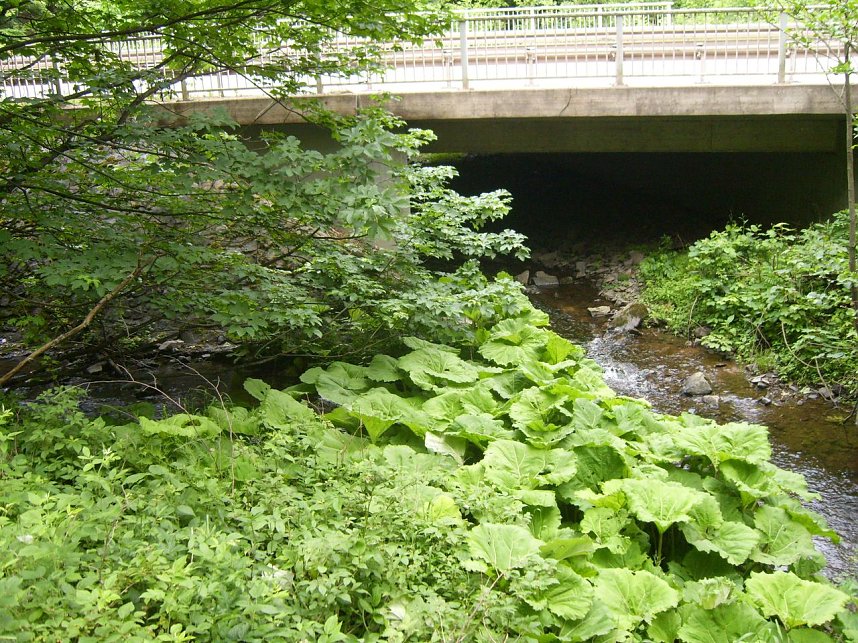 Romantik am Haltepunkt