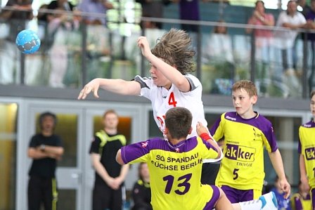 Gek&auml;mpft und bew&auml;hrt