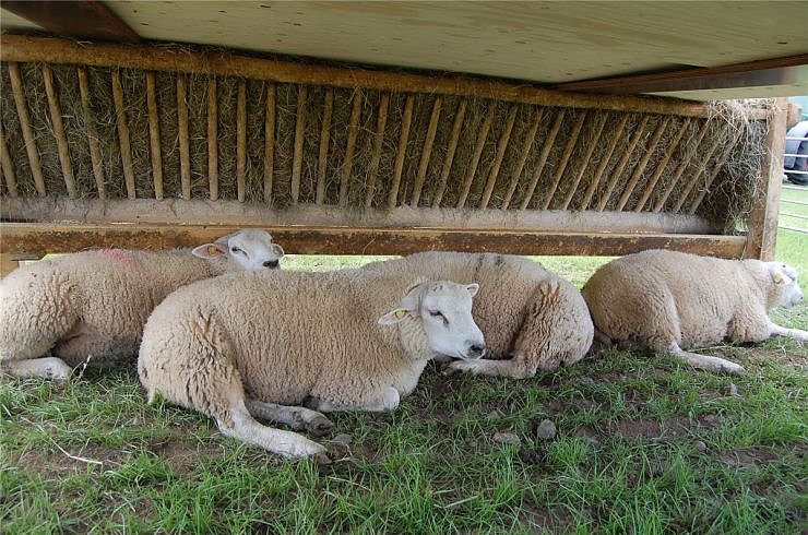 Hoffest bei van Asten