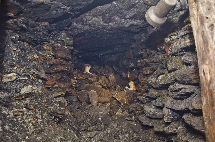 Interessantes &uuml;ber und unter Tage