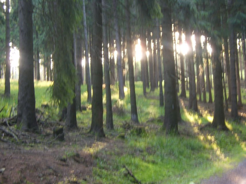 Sonnenaufgang beobachtet