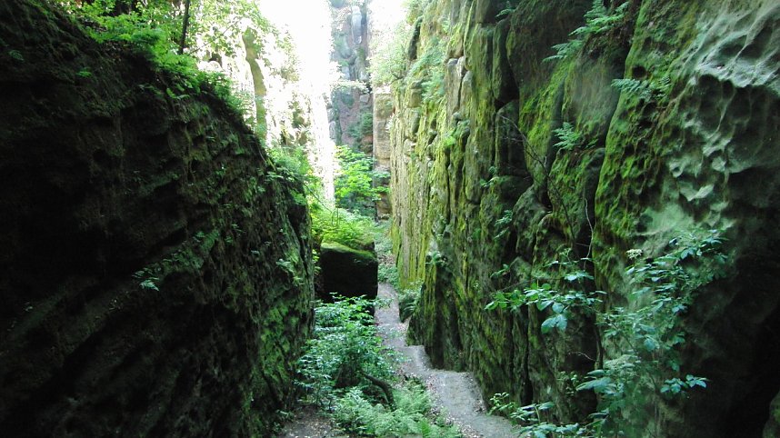 100 Kilometer S&auml;chsische Schweiz