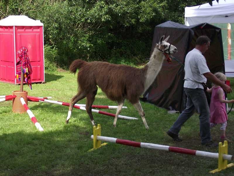 Kinderfest im "Drachenland"