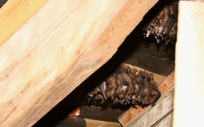 Kinderstube in der Kirche