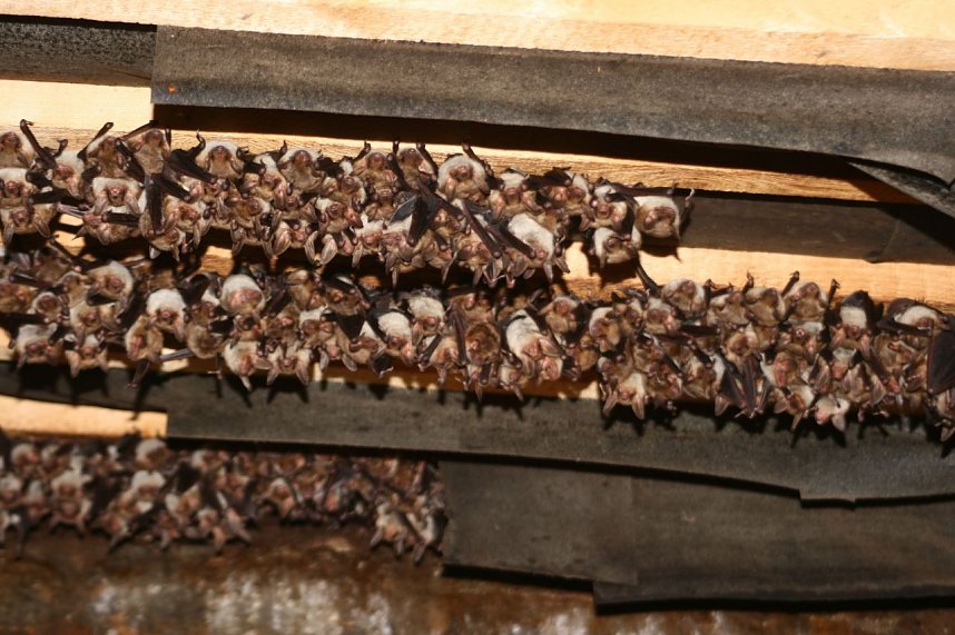Kinderstube in der Kirche