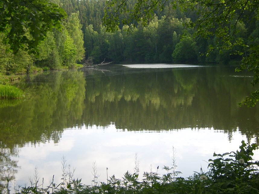 Immer an der Selke entlang