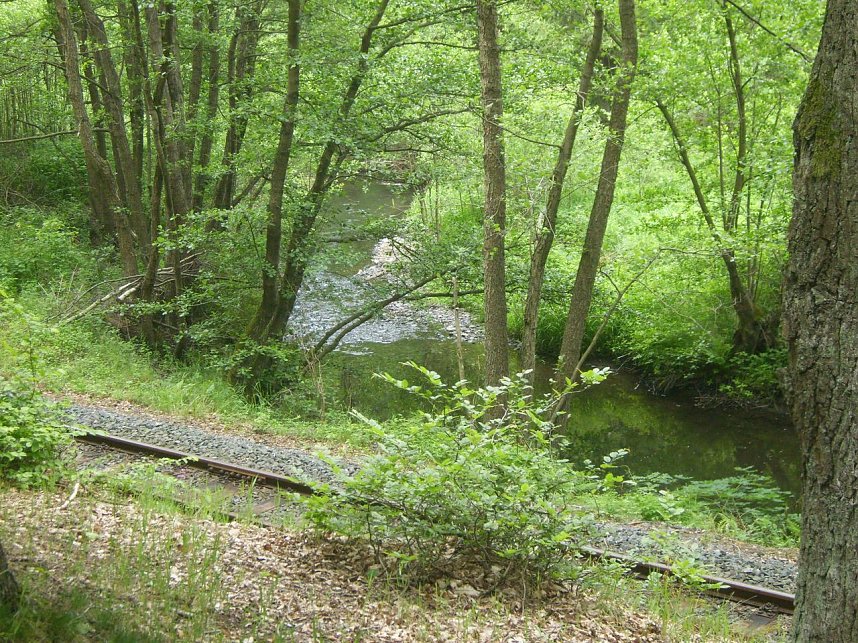 Immer an der Selke entlang