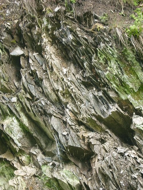 Immer an der Selke entlang