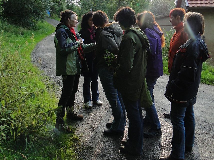 Kr&auml;uterwanderung