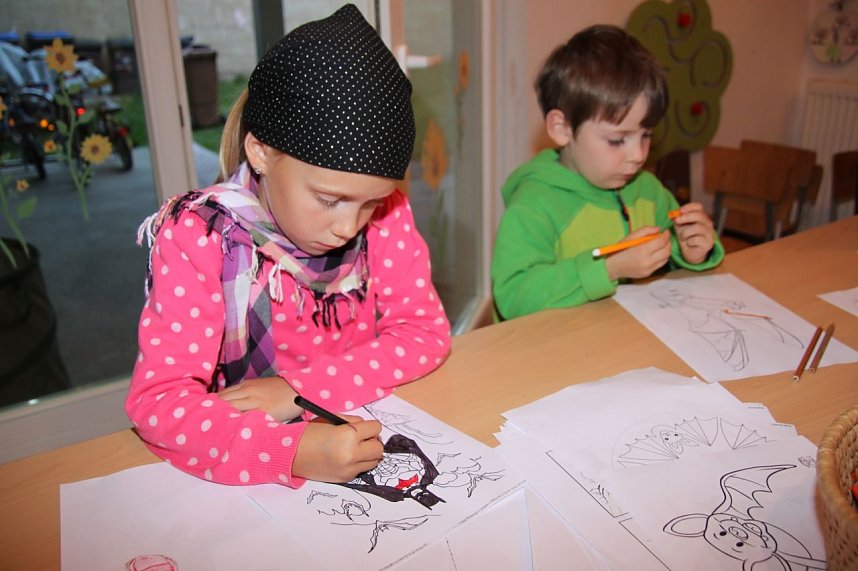 Fledermausnacht in Bleicherode