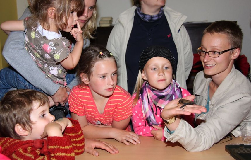 Fledermausnacht in Bleicherode