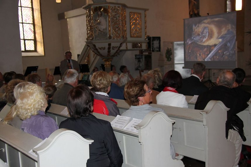 Fledermausnacht in Bleicherode