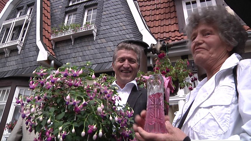 Fuchsien in der Traditionsbrennerei