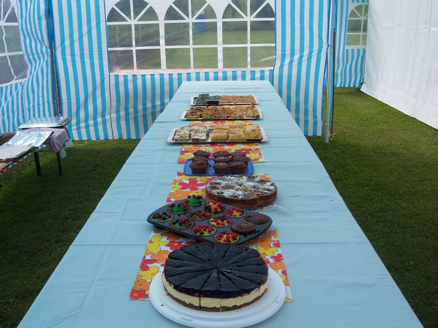 Rosenschau in Ellrich