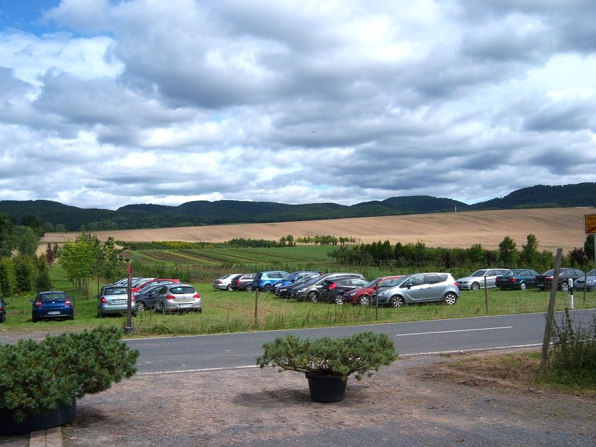 Rosenschau in Ellrich