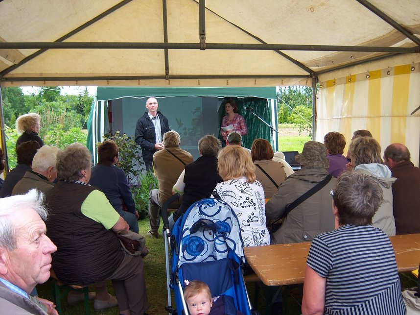 Rosenschau in Ellrich