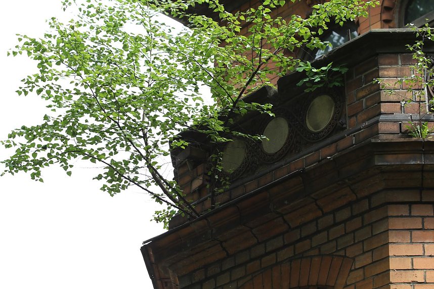 Unterwegs: "Flora" am Bau