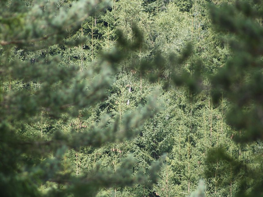 Handwerker-Camp Hoheneiche Tag 7