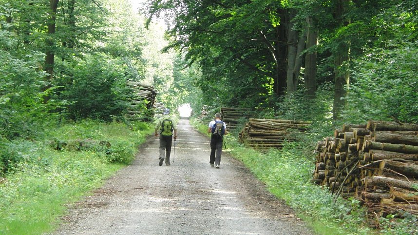Von West nach Ost: Das Ende des Harzes ist ein Lichtfleck vor Hergisdorf