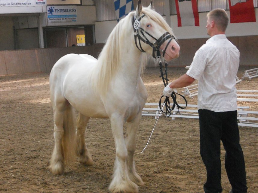 Landeszuchtschau in Wollersleben
