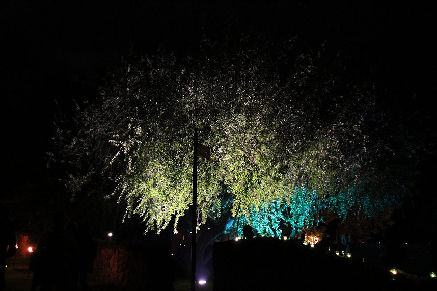 Lichterfest 2012 auf dem Petersberg