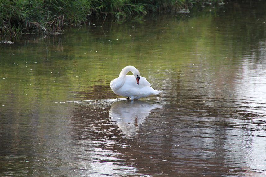 Weinfest in Sondershausen