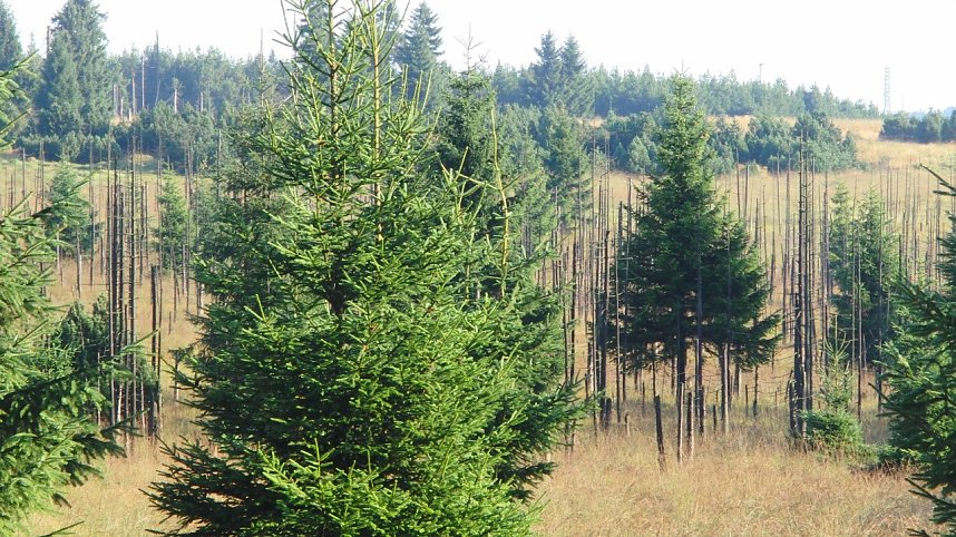 Von Dresden zum Fichtelberg