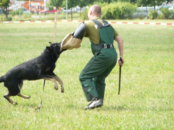 Tag der offenen T&uuml;r bei der Polizeidirektion Nordhausen