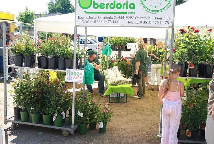 Rosenfest auf dem Nordh&auml;user Petersberg