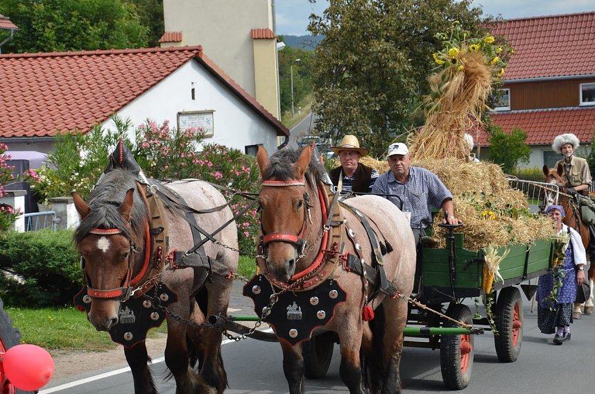 700 Jahre Buchholz - Umgezogen