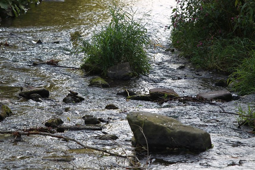 Zorgepegel: 5 Zentimeter