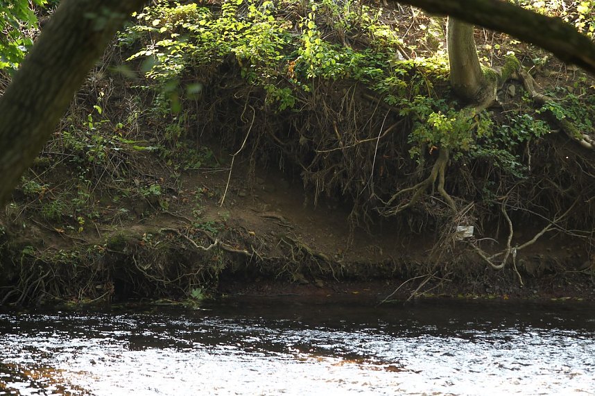 Zorgepegel: 5 Zentimeter