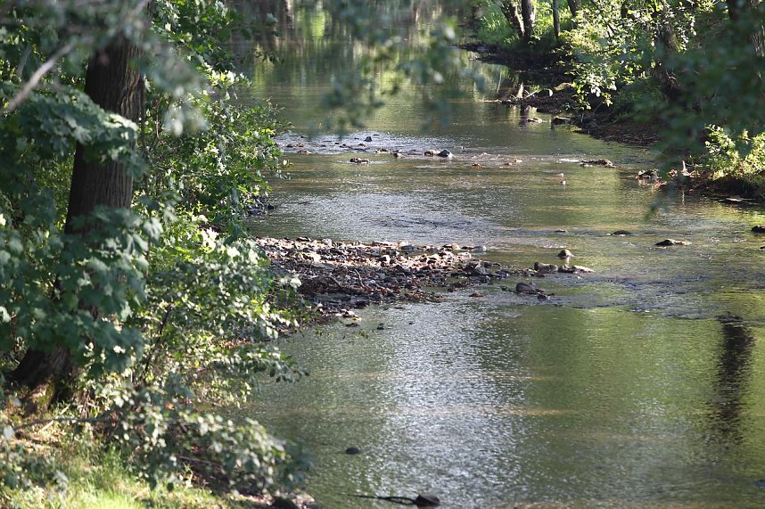 Zorgepegel: 5 Zentimeter