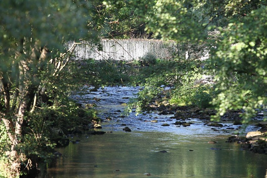 Zorgepegel: 5 Zentimeter