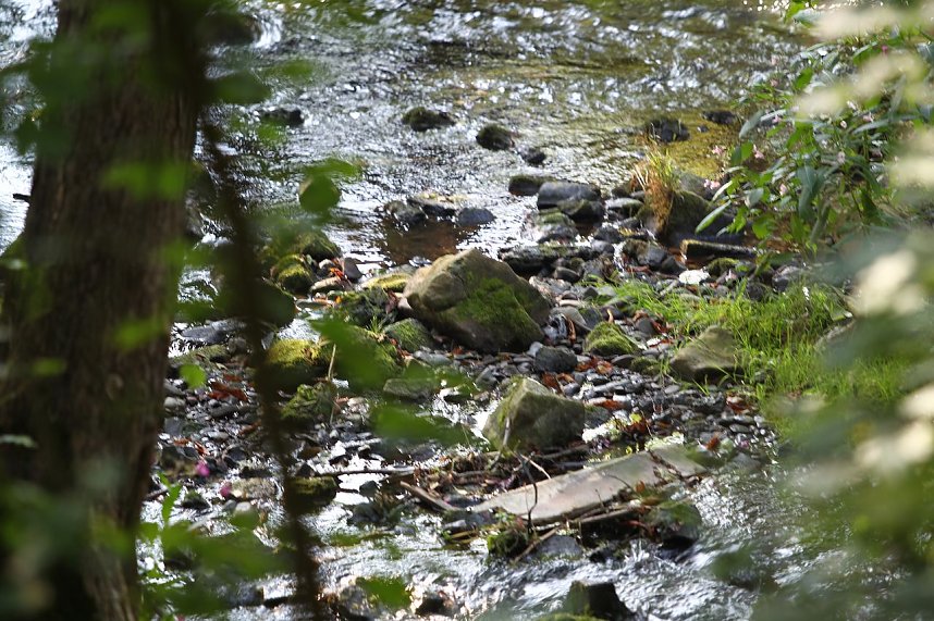 Zorgepegel: 5 Zentimeter