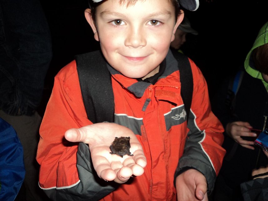 N&auml;chtlicher AUsflug