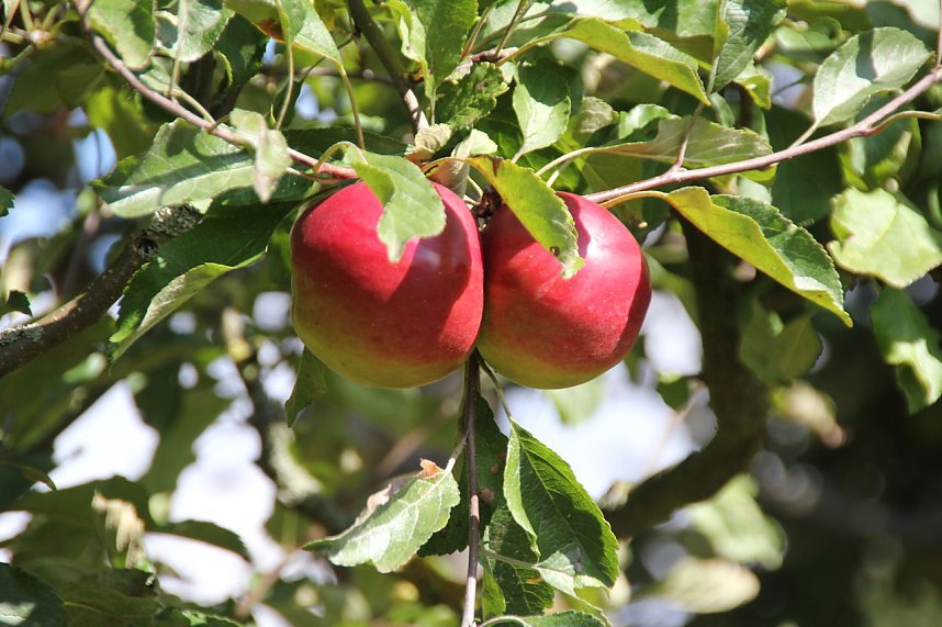 Der Herbst k&uuml;ndigt sich an