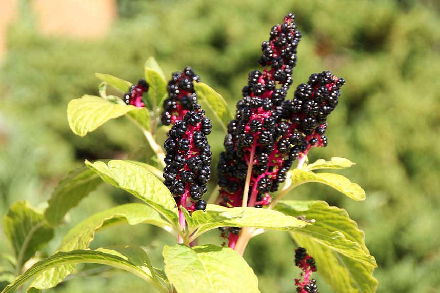 Der Herbst k&uuml;ndigt sich an