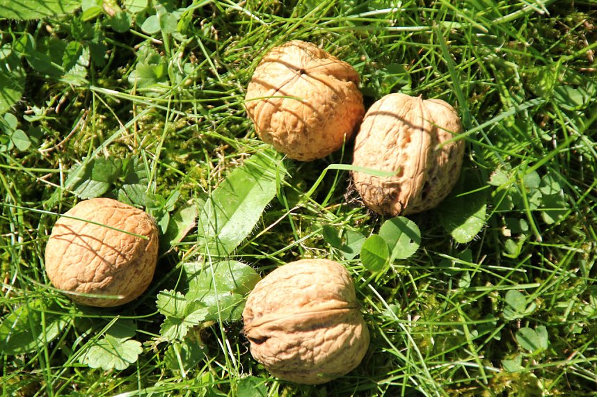 Der Herbst k&uuml;ndigt sich an